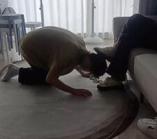 【叶子】被女神女友羞辱 bf20690