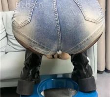 【瑶瑶】母畜-美臀诱惑/吃口水/长靴踩虐/踩踏喂食 bf36493