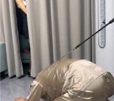 【樱木花道】绿帽老公被拴着羞辱 bf38288