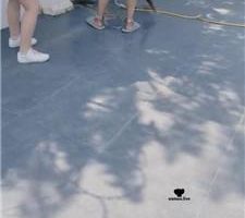 【瑞拉】双S-彻底奴役犬化训练 JS240727-7