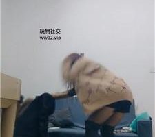 【女生也能很暴力】多位学生主重度踢踹虐打 JS241019-14