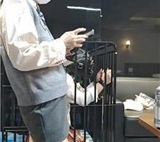 【陶拉大人】狗笼囚禁/脚丫喂食/鞭打/头套窒息/挠痒 bf46309