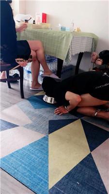 【白狐】狗盆喂食专场 JS250503-6