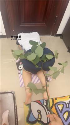 【饭饭】白棉袜玩虐闺蜜犬 JS250503-30