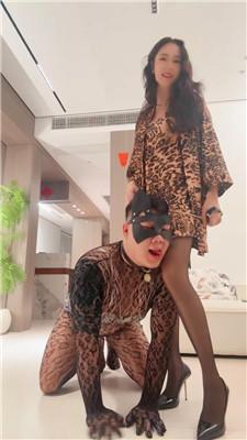 【佳禾小妈】强制犬化骚公狗 bf58771