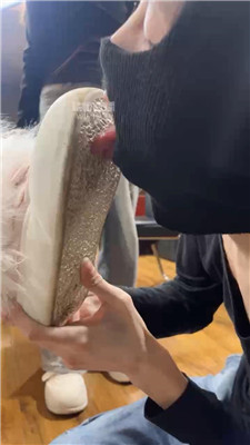 【七七】舔脏鞋底贱狗    251213-31